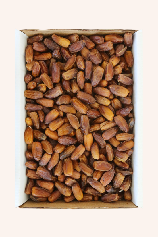 Deglet Nour – Dulcele de aur